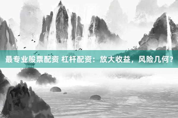 最专业股票配资 杠杆配资：放大收益，风险几何？