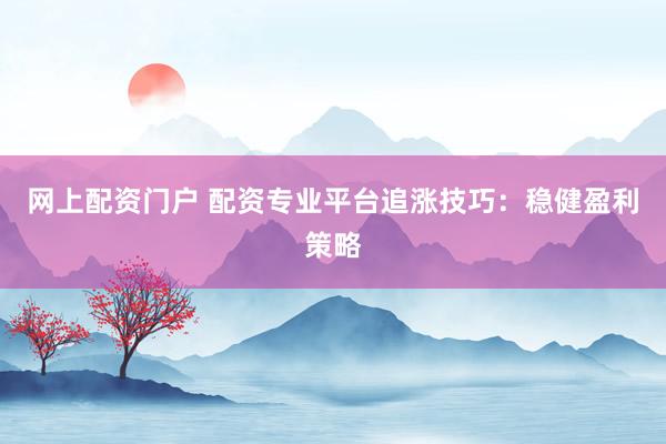 网上配资门户 配资专业平台追涨技巧：稳健盈利策略