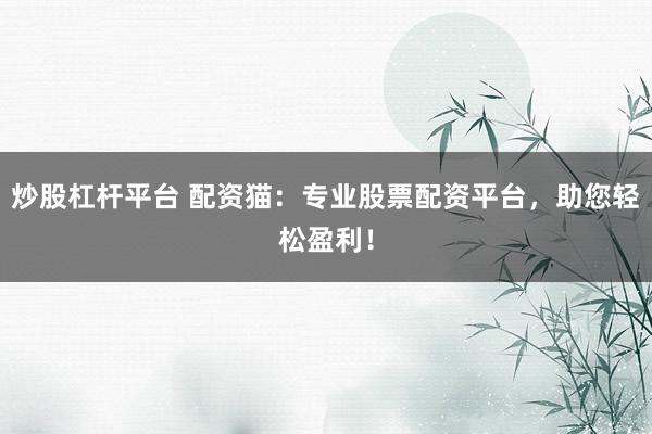 炒股杠杆平台 配资猫：专业股票配资平台，助您轻松盈利！