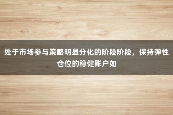 处于市场参与策略明显分化的阶段阶段，保持弹性仓位的稳健账户如