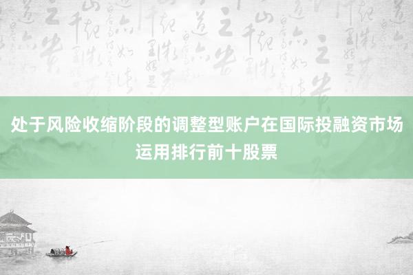 处于风险收缩阶段的调整型账户在国际投融资市场运用排行前十股票
