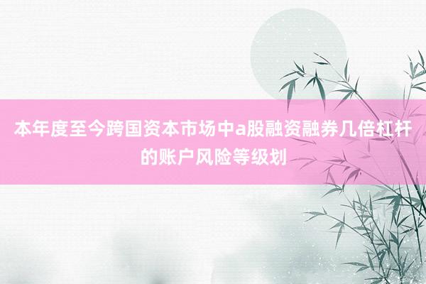 本年度至今跨国资本市场中a股融资融券几倍杠杆的账户风险等级划