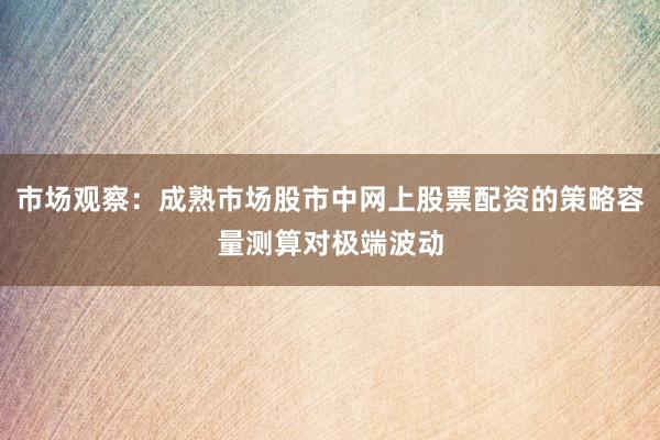 市场观察：成熟市场股市中网上股票配资的策略容量测算对极端波动