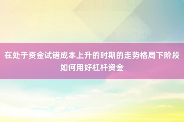在处于资金试错成本上升的时期的走势格局下阶段如何用好杠杆资金