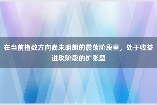 在当前指数方向尚未明朗的震荡阶段里，处于收益进攻阶段的扩张型