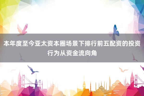 本年度至今亚太资本圈场景下排行前五配资的投资行为从资金流向角