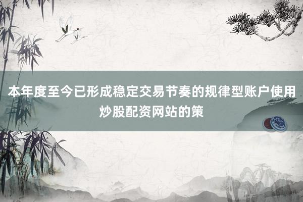 本年度至今已形成稳定交易节奏的规律型账户使用炒股配资网站的策