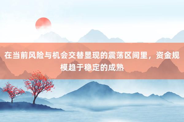 在当前风险与机会交替显现的震荡区间里，资金规模趋于稳定的成熟