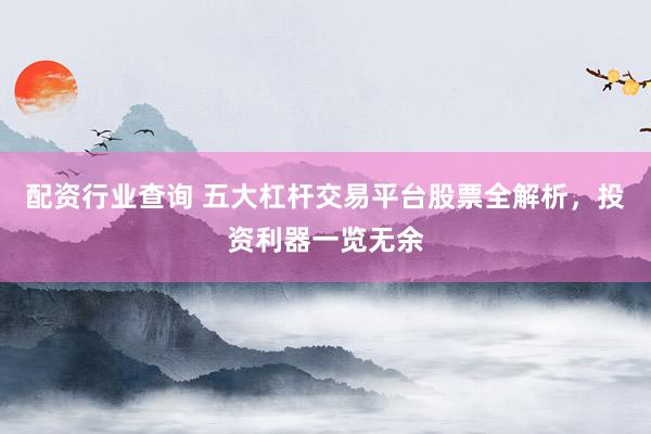 配资行业查询 五大杠杆交易平台股票全解析，投资利器一览无余