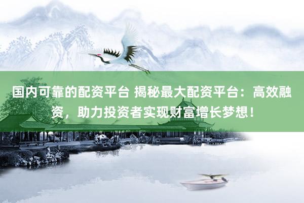 国内可靠的配资平台 揭秘最大配资平台：高效融资，助力投资者实现财富增长梦想！